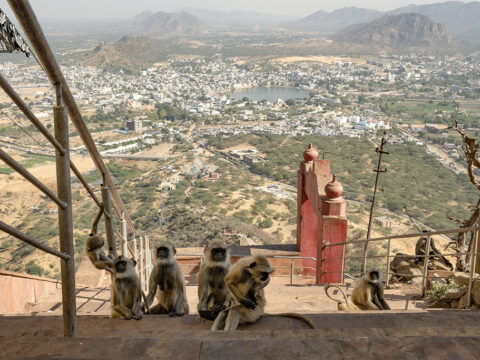 RAJASTHAN | Pushkar