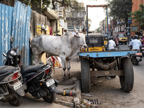 TAMIL NADU | Chennai