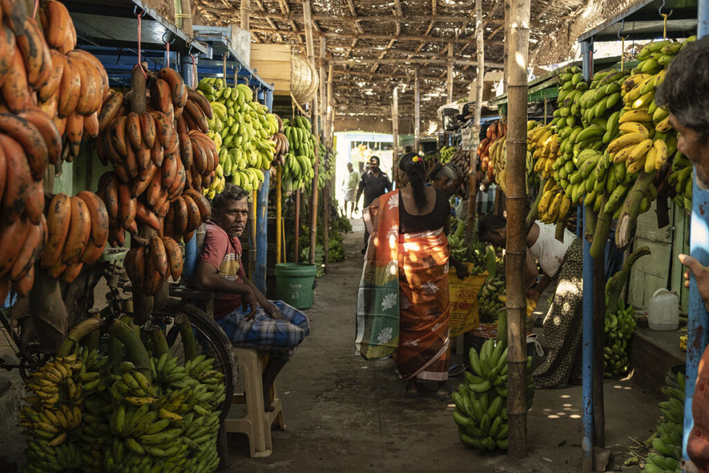 Petite balade dans le banana market